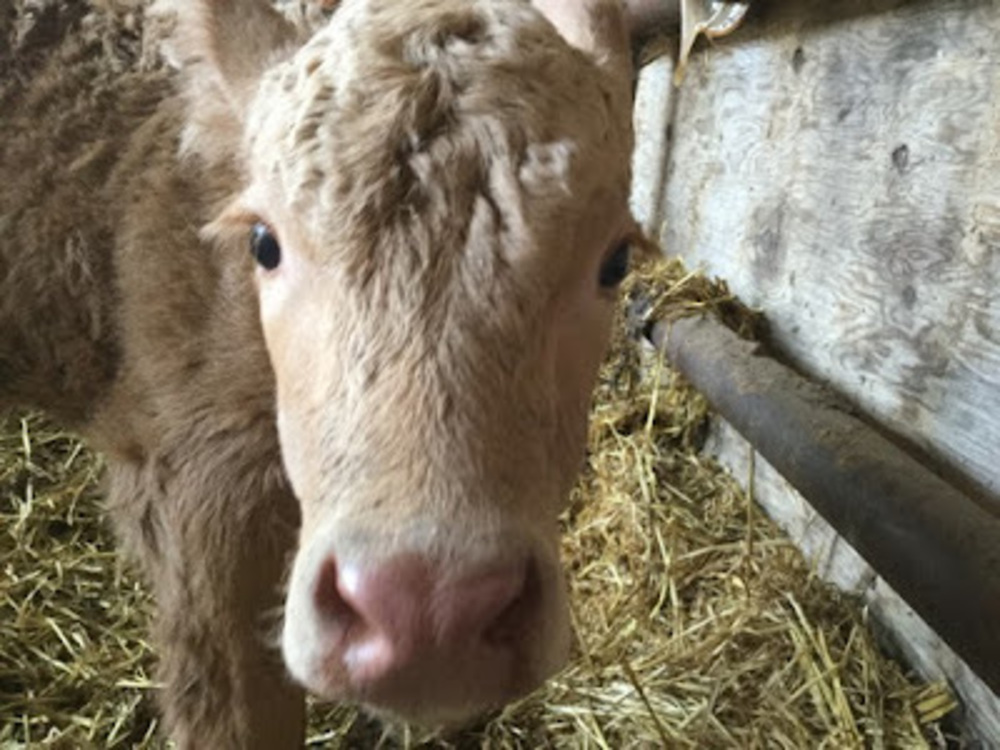 Meet your Posher, Justine